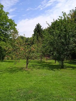 Krásná zahrada v klidné lokalitě Lazy u Orlové. - 3
