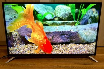 TV Sharp 40BG2E 40"(102sm), Smart, FullHD, WiFi, DVB-T2 - 3