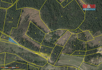 Prodej lesa, 26262 m², Přechovice - 3
