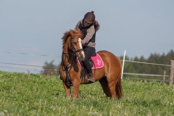 Pony B - 3