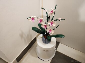 ORIGINÁLNÍ LEGO Botanicals 10311 Orchidej & 40460 Růže - 3
