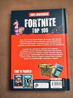 100% NEOFICIÁLNÍ FORTNITE TOP 100 (K. PETTIMAN) - 3