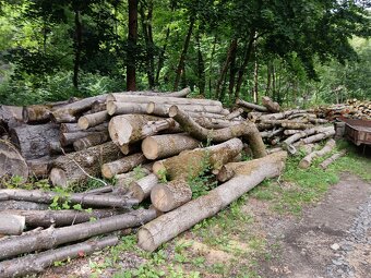 Dřevo na topení - 3