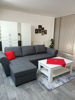 Pronájem velkého bytu 1+kk - 3