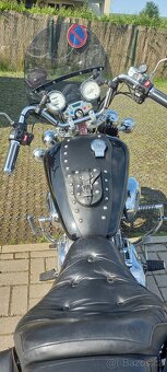 Yamaha Virago 1100 - 3