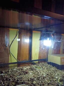 Prodám Terarium - 3