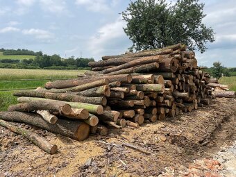 Nabízím tvrdé štípané, řezané palivové dřevo - 3