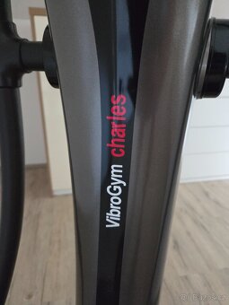 Vibrogym Charles - 3