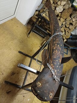 Dřevěná socha sumec - 3