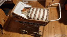 Retro-kočárek pro panenky - 3