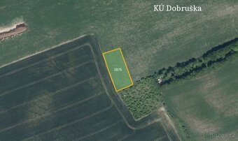 Zemědělská půda, prodej, Opočno, Rychnov nad Kněžnou - 3