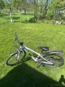 Westige junior 24" - 3