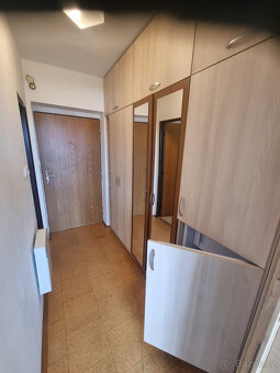 Pronájem částečně zařízeneho bytu 1+kk, 20m2, M.Budějovice - 3
