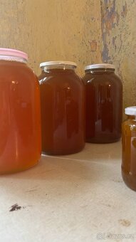 Včelí med 180 kč/kg - 3