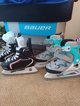 Bauer - 3
