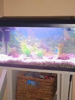 Akvárium včetně vybaveni - 3