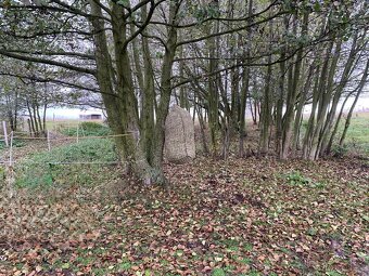 Trekové pastevní ustájení exit34 D1 - 3