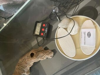 Terárium 70x100 cm - 3