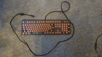 Rapture X-Ray Keyboard - 3