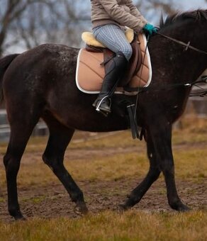 Podsedlová dečka - 3