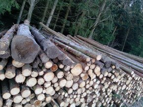 Palivové dřevo smrk, borovice 700 kč prostorový metr - 3