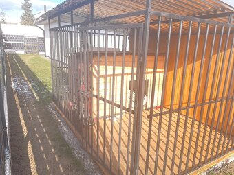 Kotec pro psa 3,2x 2 m - 3