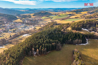 Prodej lesa, 13448 m², Malenice - 3