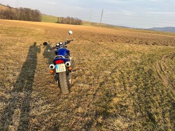 Honda Hornet CB600F - 3