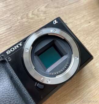 Sony a6100 + Sony 16-50mm F3.5-5.6 OSS - 3