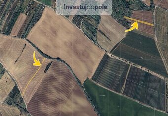 Prodej pole v k.ú. Svatobořice - 3