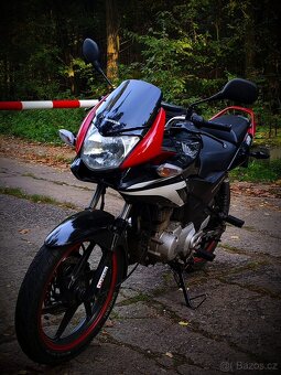 Honda cbf 125 - 3