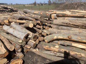 Palivové dřevo měkké-tvrdé - 3