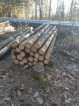 Prodám palivové dřevo - 3