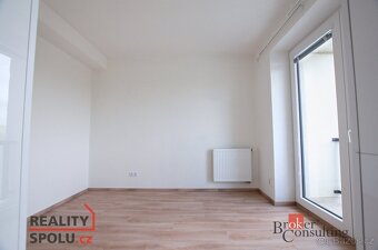 Pronájem, byty/1+kk, 35 m2, U Velkého rybníka 2313/27, 30100 - 3