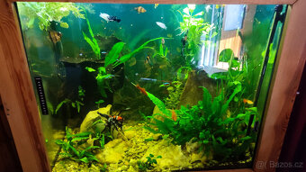 Akvarium - 3