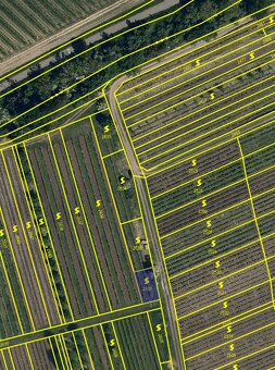 Prodej orné půdy, vinohradu - 3