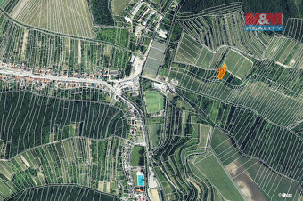 Prodej louky, 1125 m², Němčičky u Hustopečí - 3