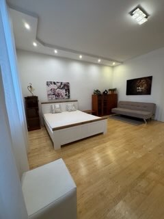 Pronájem zařízeného bytu 1+kk Olomouc - 3