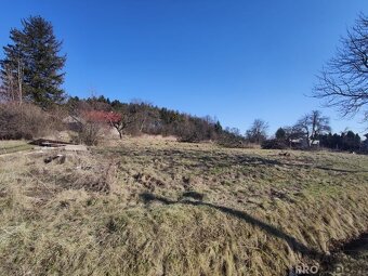 Prodej stavebního pozemku 870 Třinec- Český Puncov - 3