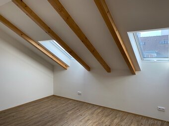 Nový půdní byt 2+k.k.,50m2, P.6-Holešovice, Sternberkova - 3