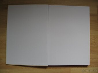 Generál Maurice Pellé - Radko Břach - 3