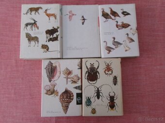 Světem zvířat. - 3