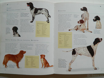 Pes a péče o něj - 3