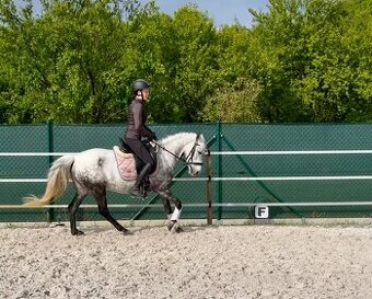 Pony klisna - 3