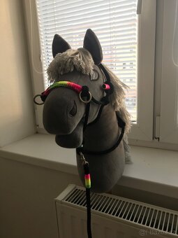Hobby horse - 3