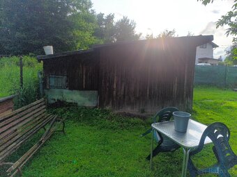 Demolice + odvoz dřeva - 3