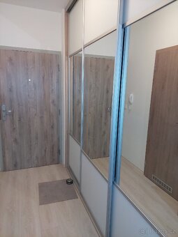 Pronájem bytu 1+kk - 3