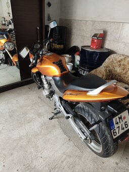 Honda CB600F Hornet - 3