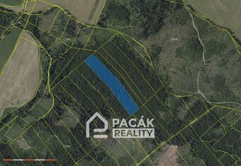 Prodej lesa v Dolanech u Olomouce, výměra 41.845m2 - 3