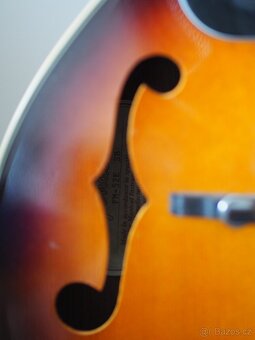 Mandolína Fender - 3